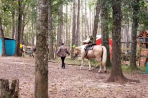 Redemptive Love Farm