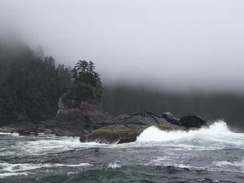 Redsky Wildlife Adventures