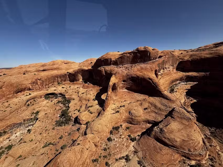 Redtail Air Adventures