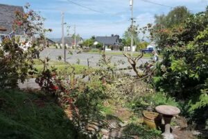 Redwood Coast Vacation Rentals