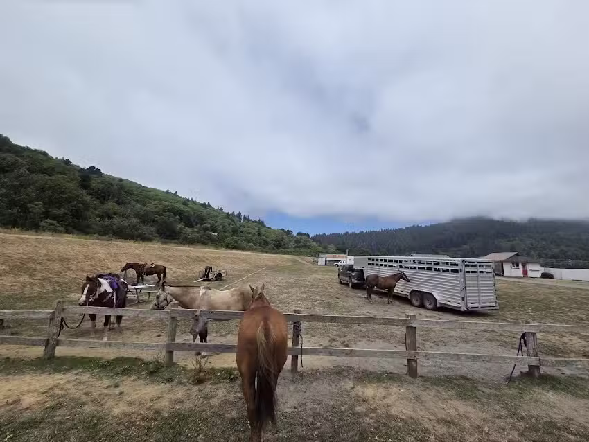 Redwood Creek Buckarettes