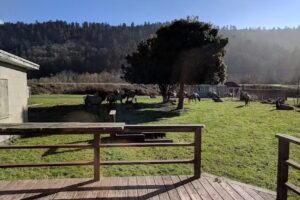 Redwood Creek Cottage