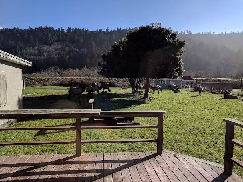 Redwood Creek Cottage