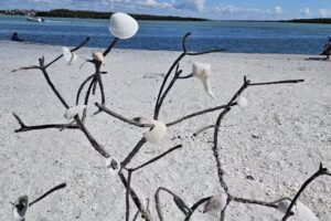 Reel Kind Fishing and Tours