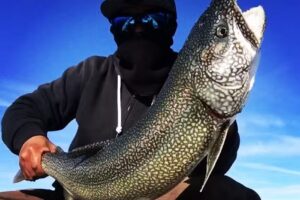 Reel-Lentless Fishing Charters