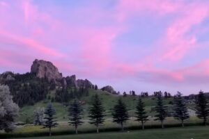 Reel Time Cabins LLC.