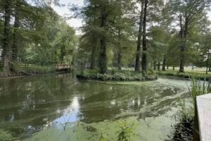 Reelfoot Lake Pontoon Boat Cruise