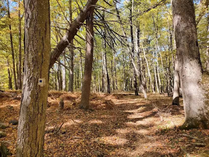Reeves Meadow Visitor Center