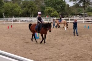 REINS Therapeutic Horsemanship Program