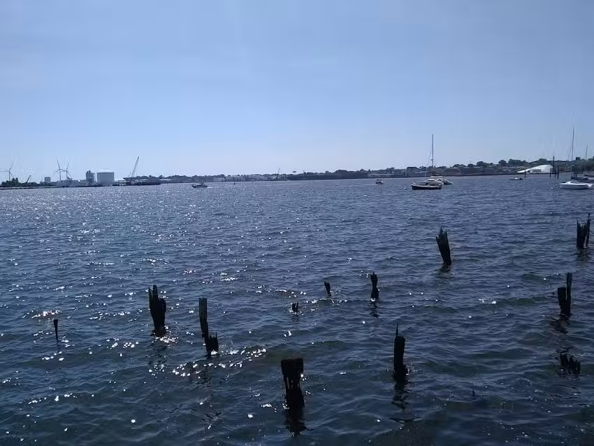 ReisJl Travel Agency