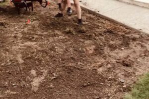 Reliable Travel & Tours Inc