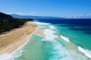 Renee’s Great Escape Travel