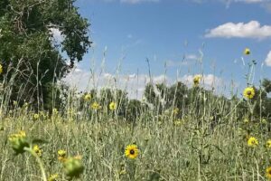 Resolis Ranch Horseback Riding, EcoTours, and Hunting