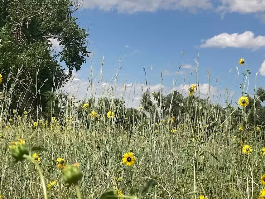 Resolis Ranch Horseback Riding, EcoTours, and Hunting