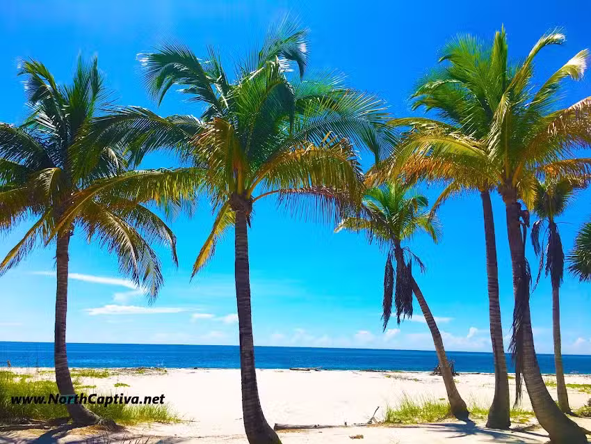 Resort Properties Internationale LLC