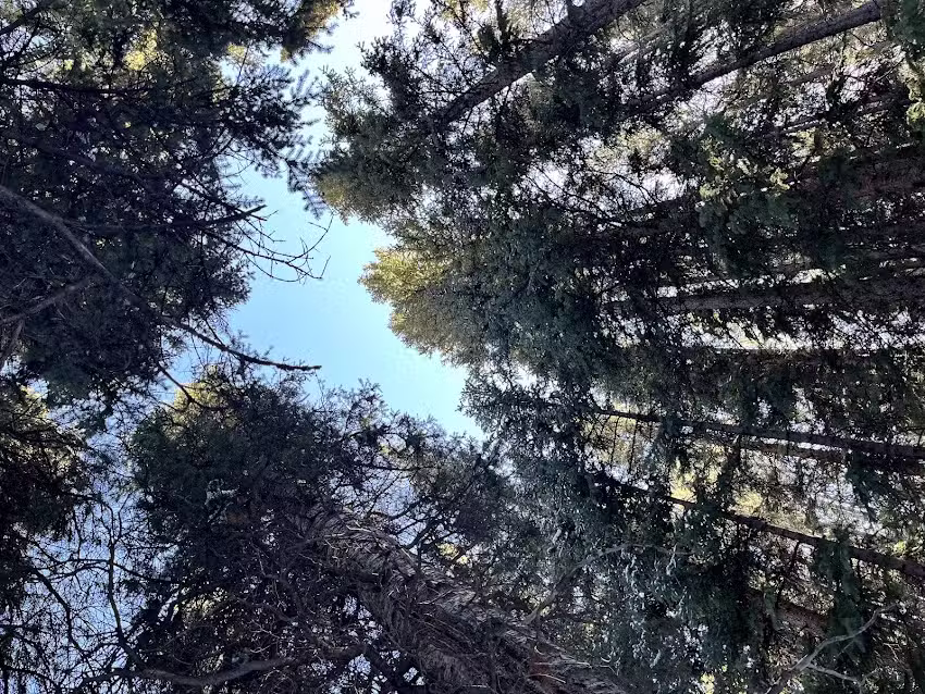 Resort Quest International Inc