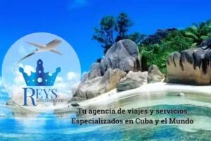 Reys Multiservice