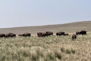 Rhodes Valley Outfitters