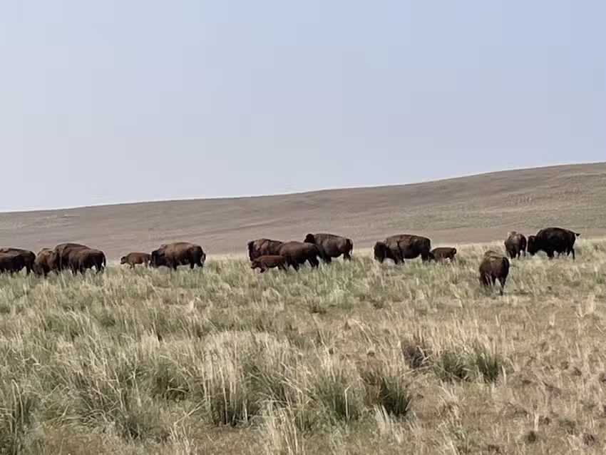 Rhodes Valley Outfitters