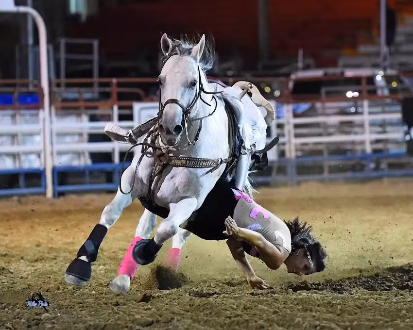 Riata Ranch International, Inc.