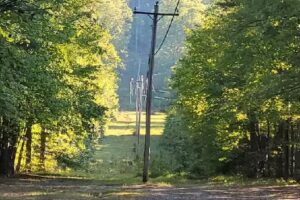 Rich Mountain Cabin Rentals