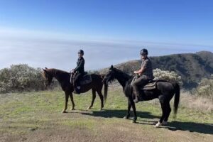 Ricochet Ridge Ranch