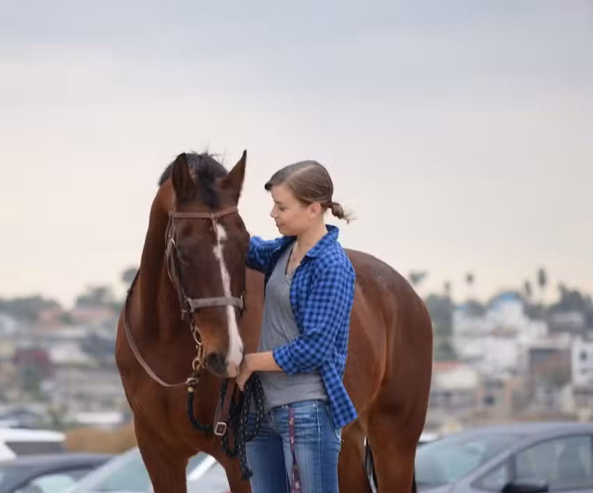 Ride Above Disability Therapeutic Riding Center