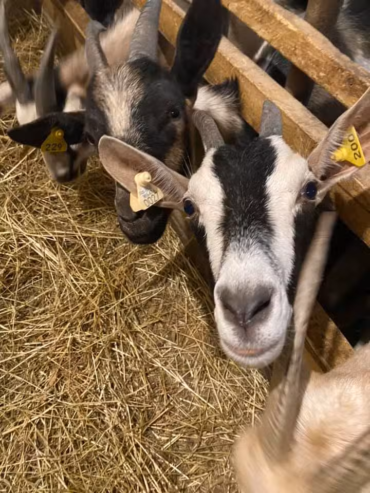 Ridge and Valley Hospitality