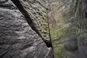 Rim Rock’s Dogwood Cabins