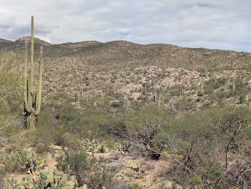 Rincon Mountain Visitor Center
