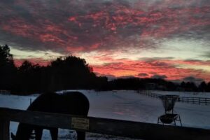 Rising Hope Equestrian Center