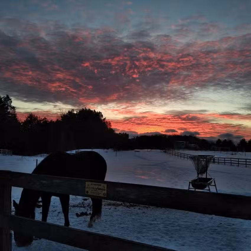 Rising Hope Equestrian Center