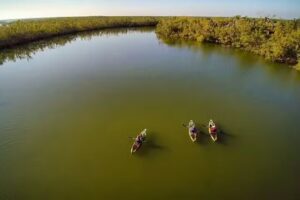 Rising Tide Explorers