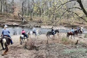 River Bluff Ranch, LLC