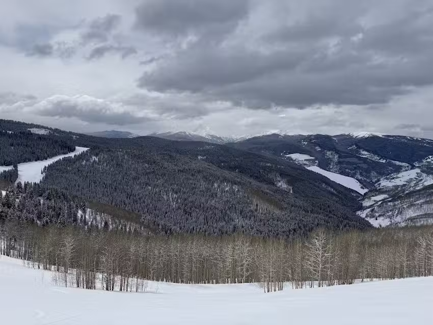 River Oaks Travel Agency