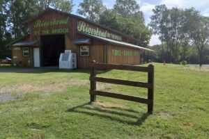 Riverbend By The Bridge