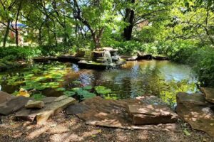 Roads End Slot Canyon tours And Brookside cottage Bnb