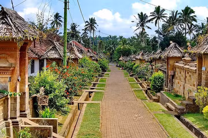 Roaming Free Travel Services