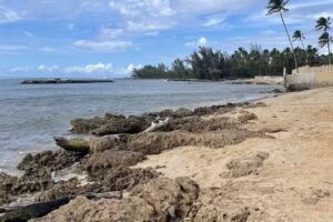 Roberts Hawaii Tours & Transportation