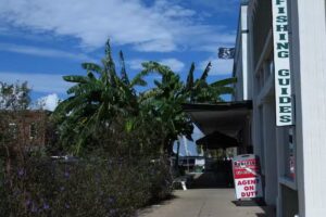 Robinson Real Estate Company