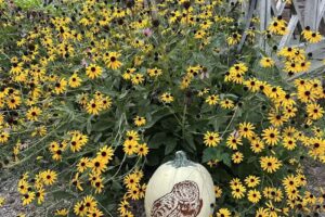 Rockefeller Estate Visitor Center