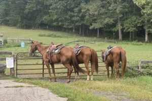 Rocking S Ranch, LLC