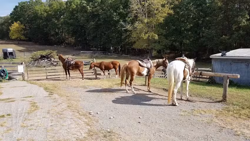 Rocking S Ranch, LLC