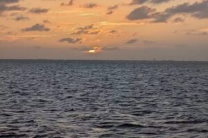 Rockport Birding And Kayak Adventures