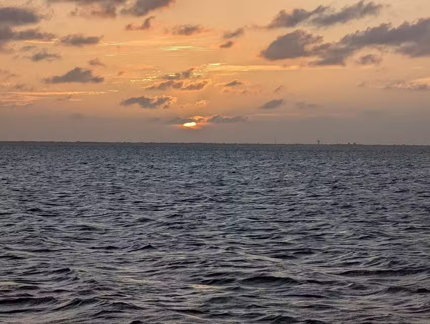 Rockport Birding And Kayak Adventures