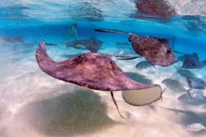 Rockport Tours &ndash; In business since 1992!