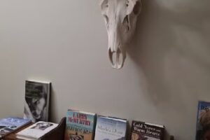 Rocksprings Visitor’s Center