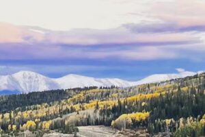 Rocky Mountain Stables Horseback Riding and Sleigh Rides