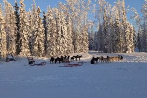 Rod’s Alaskan Guide Service