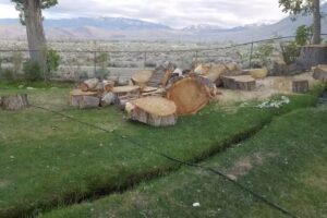 Room with a View Vacation Rentals